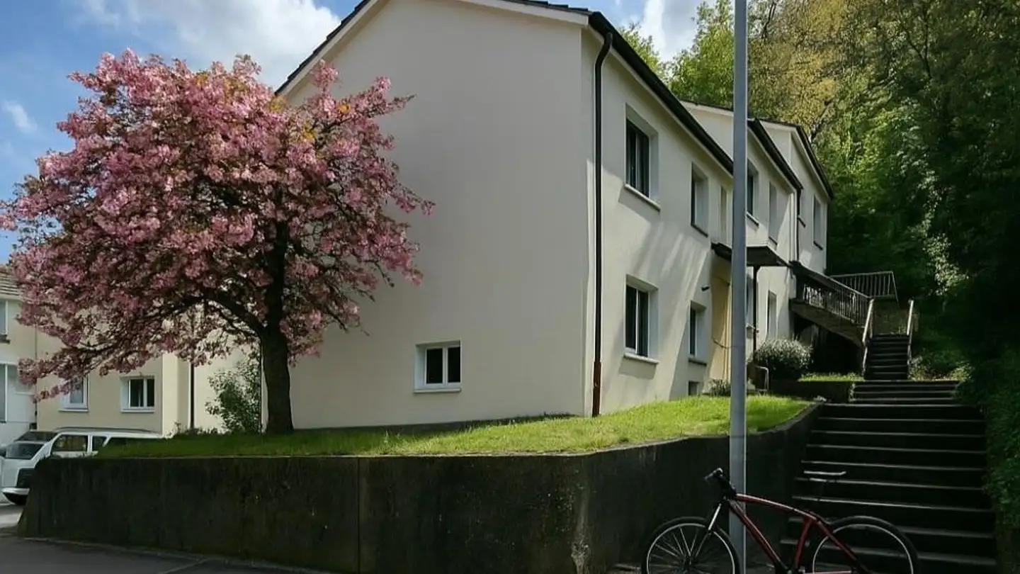 Appartement à louer - Erzgrubenweg 11, 5000 Aarau