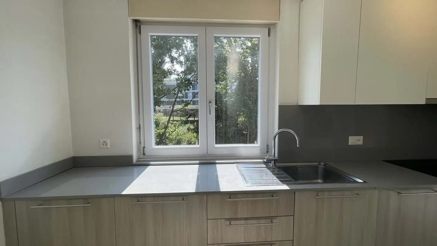 Appartamento in vendita - 6900 Massagno - Photo 2