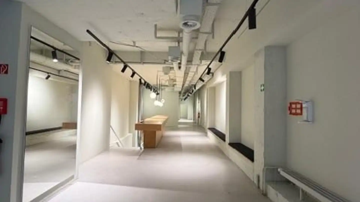 Gewerbe mieten - Rue De Bourg 23, 1003 Lausanne