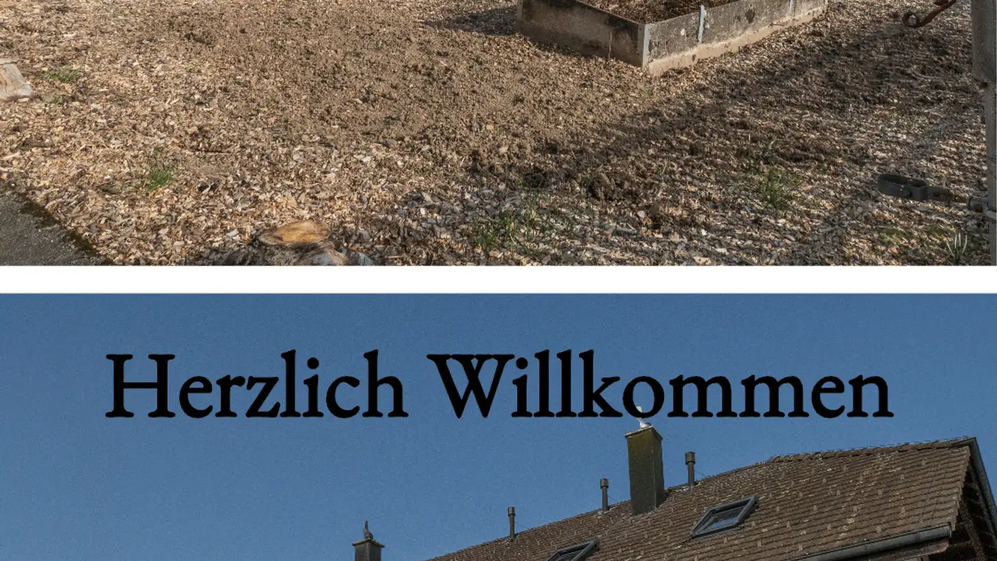 Duplex à louer - Buchsistrasse 2, 3366 Bettenhausen