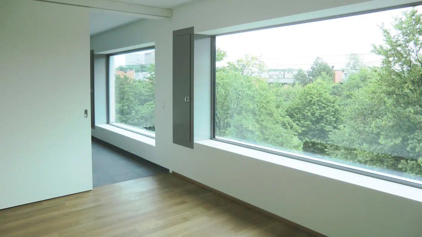 Apartment for rent - Grosswiesenstrasse 167, 8051 Zürich - Photo 2