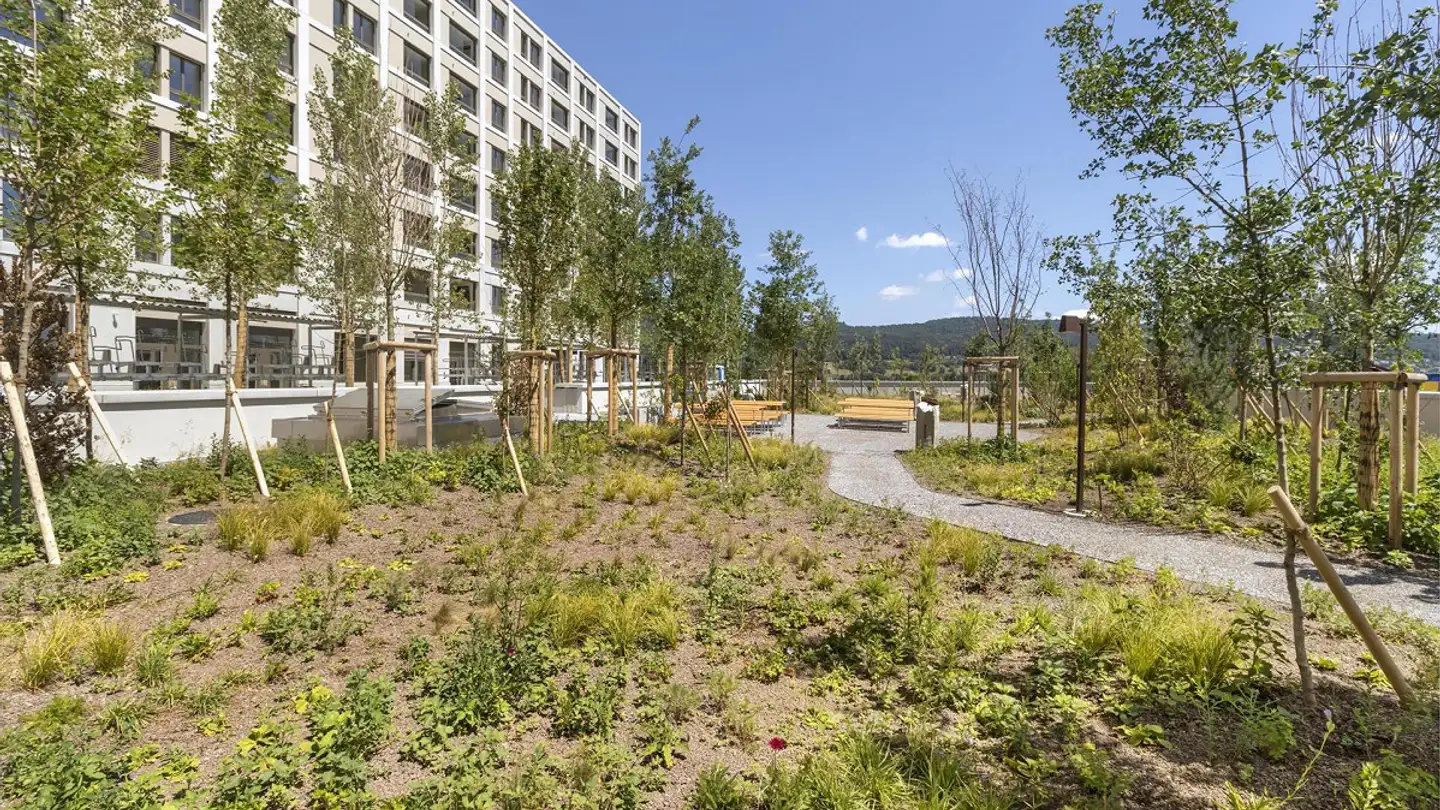 Commercial à louer - Sandäckerstrasse 1b, 8957 Spreitenbach - Photo 2