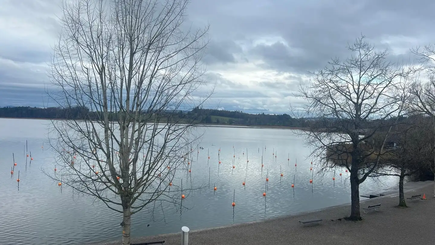 Duplex in affitto - Im Kehr 22, 8330 Pfäffikon ZH