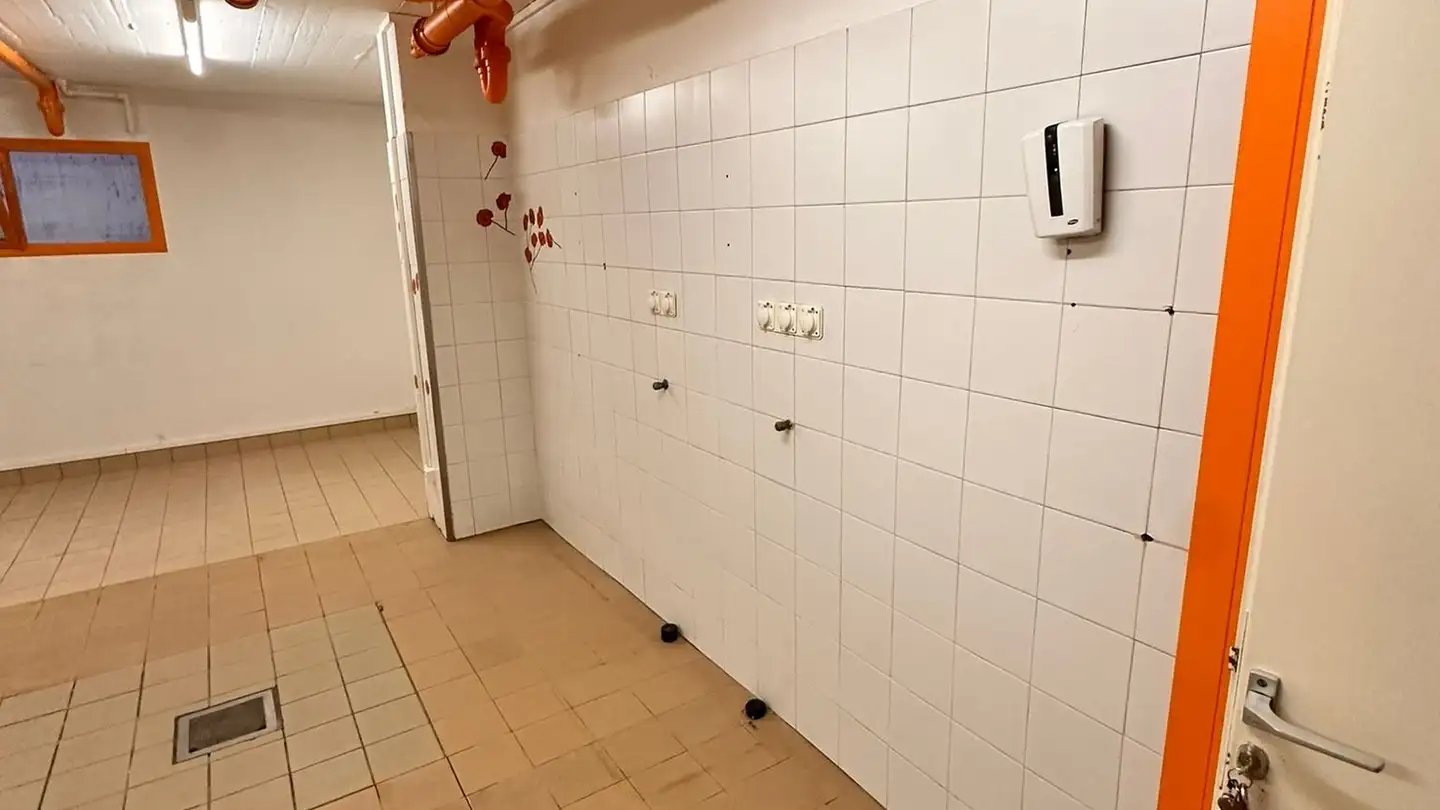 Spazio di archiviazione in affitto - Via Pollini 29, 6850 Mendrisio - Foto 3