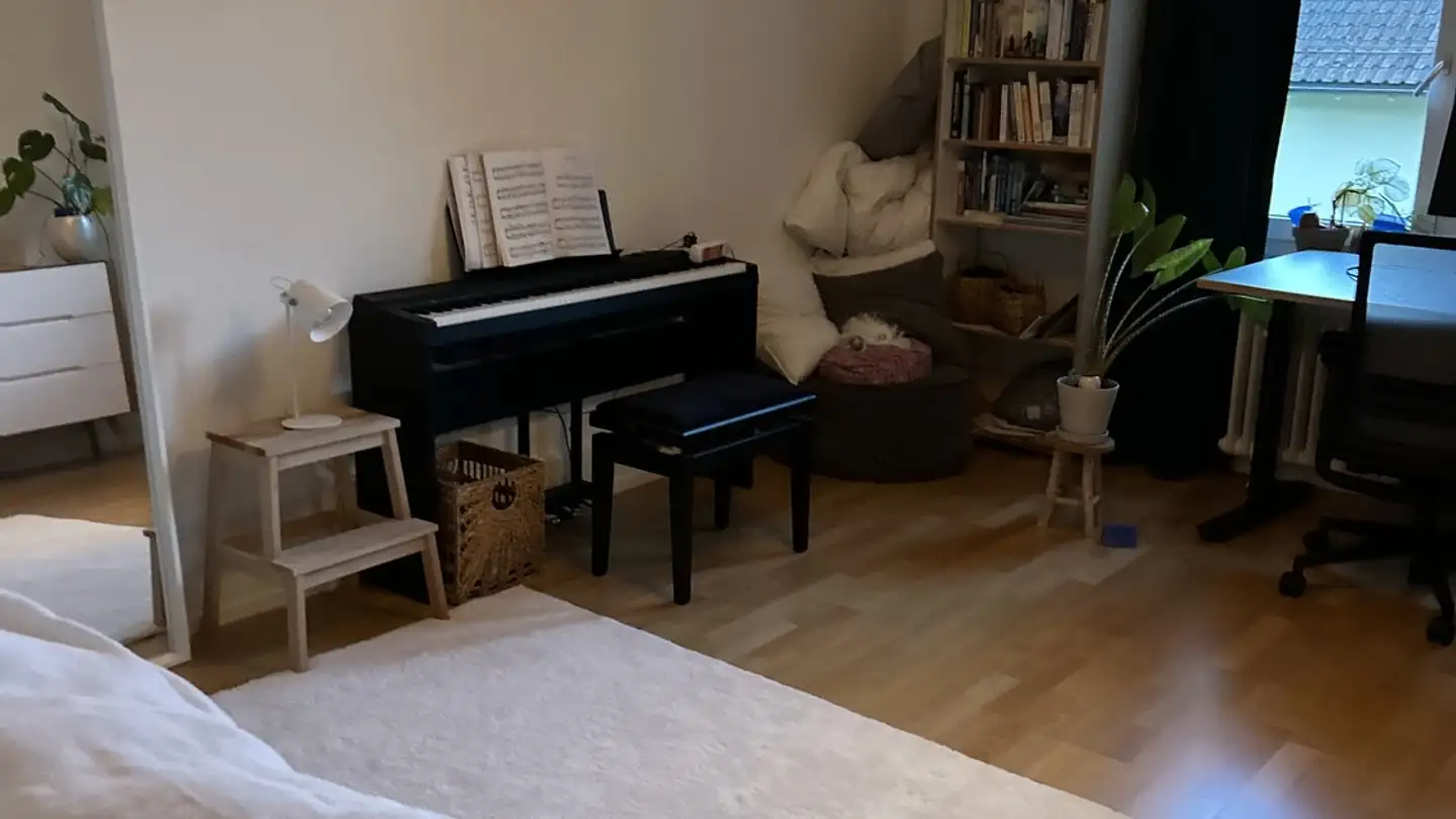 Chambre à louer - 8032 Zürich - Photo 2