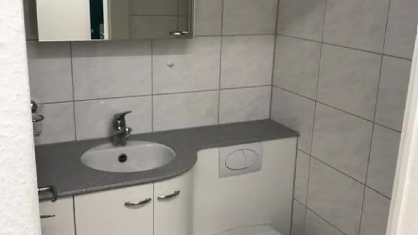 Chambre à louer - Rietholzstrasse 47, 8125 Zollikerberg - Photo 3