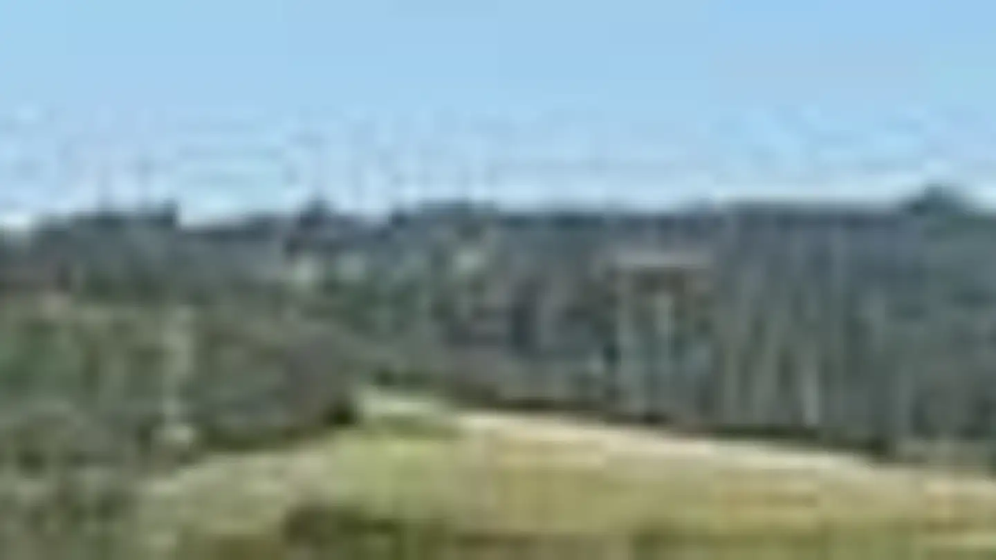 Wohnung kaufen - Grossacherstrasse 29, 8904 Aesch ZH - Foto 2