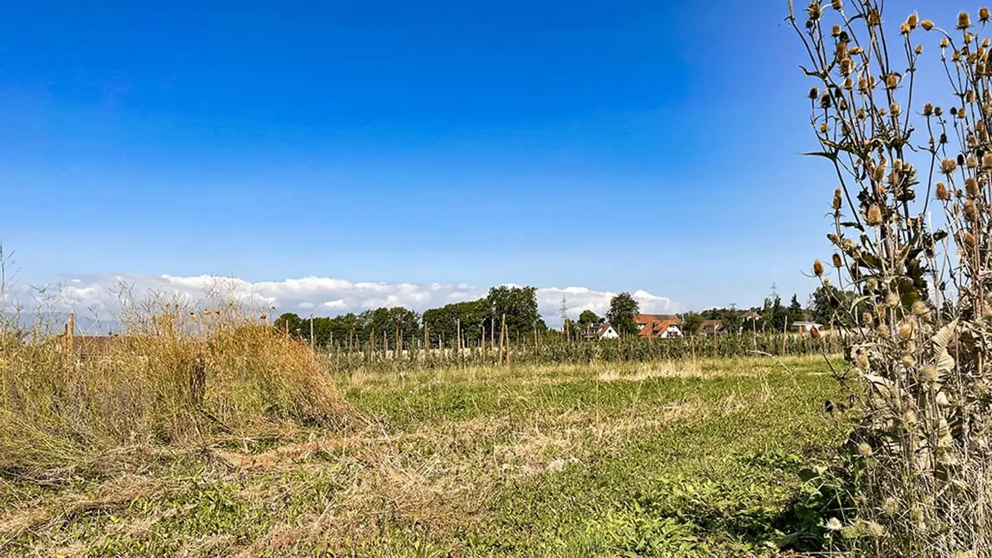 Appartamento in vendita - 1052 Le Mont-sur-Lausanne