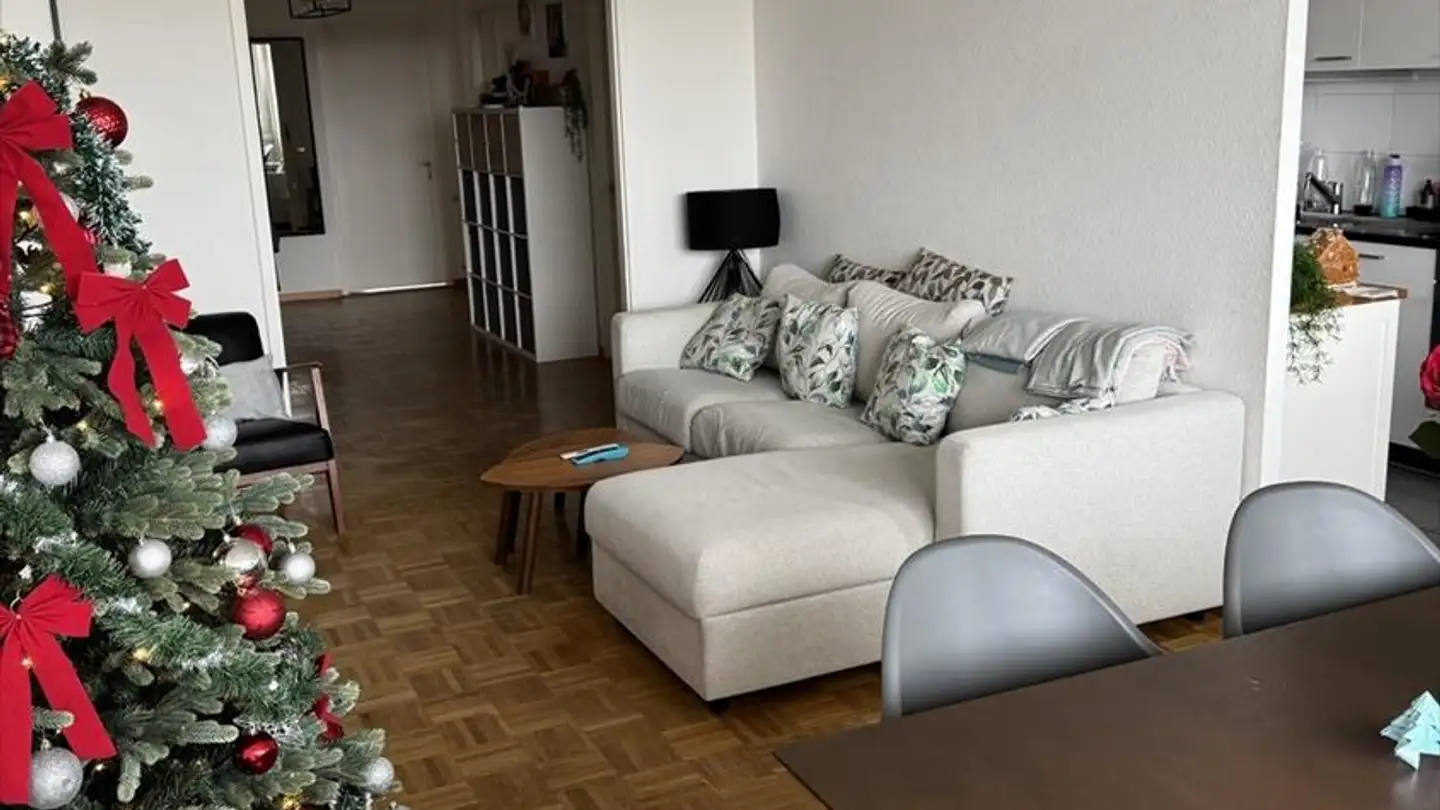 Appartamento in affitto - Chemin Du Fief-De-Chapitre, 1213 Petit-Lancy - Foto 3