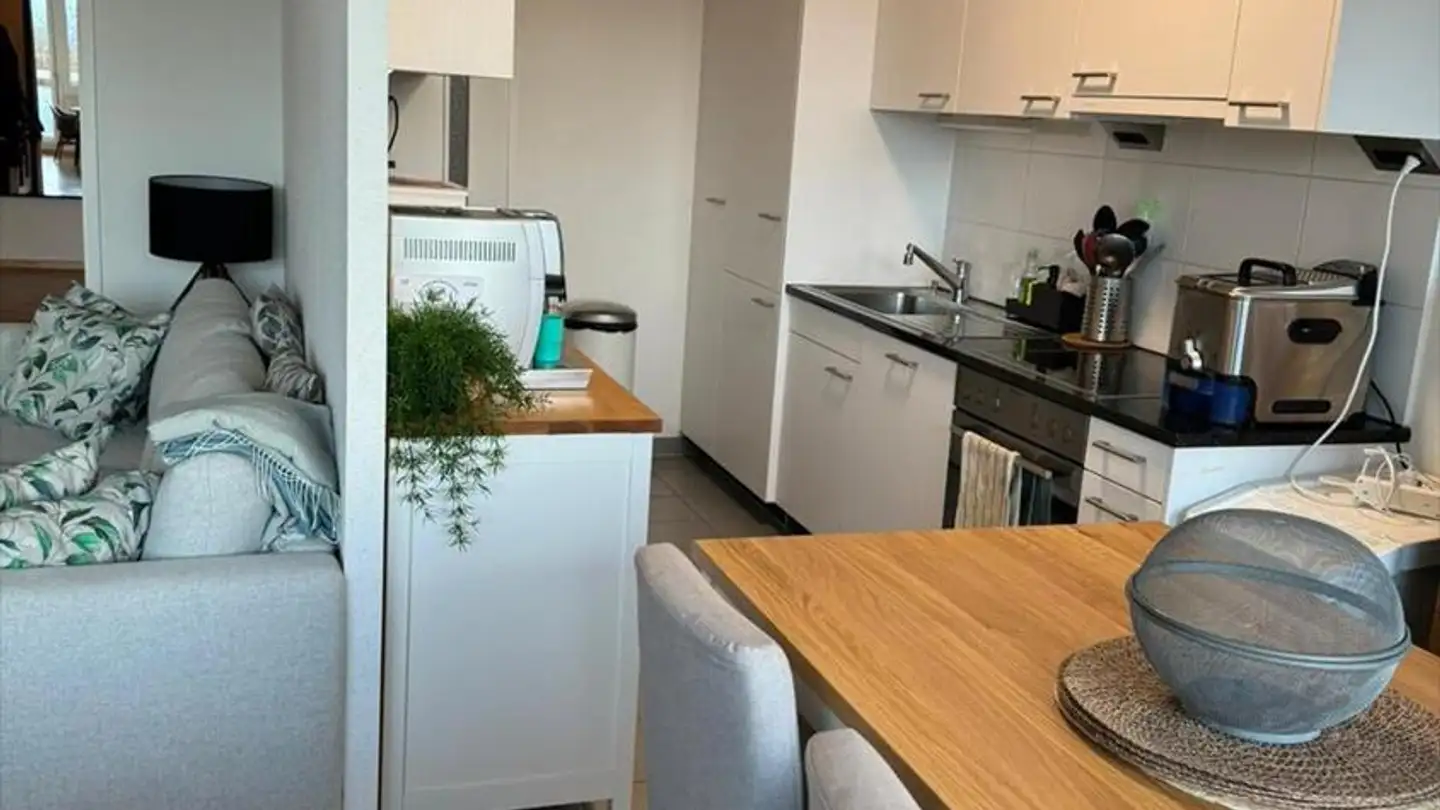 Appartamento in affitto - Chemin Du Fief-De-Chapitre, 1213 Petit-Lancy - Foto 4