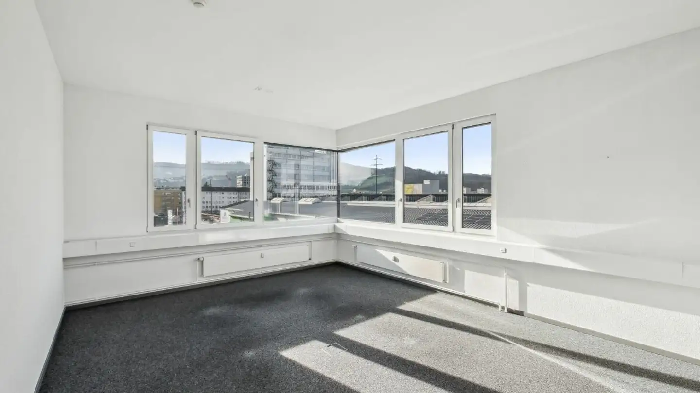 Commercial à louer - Hohenrainstrasse 12d, 4133 Pratteln - Photo 3
