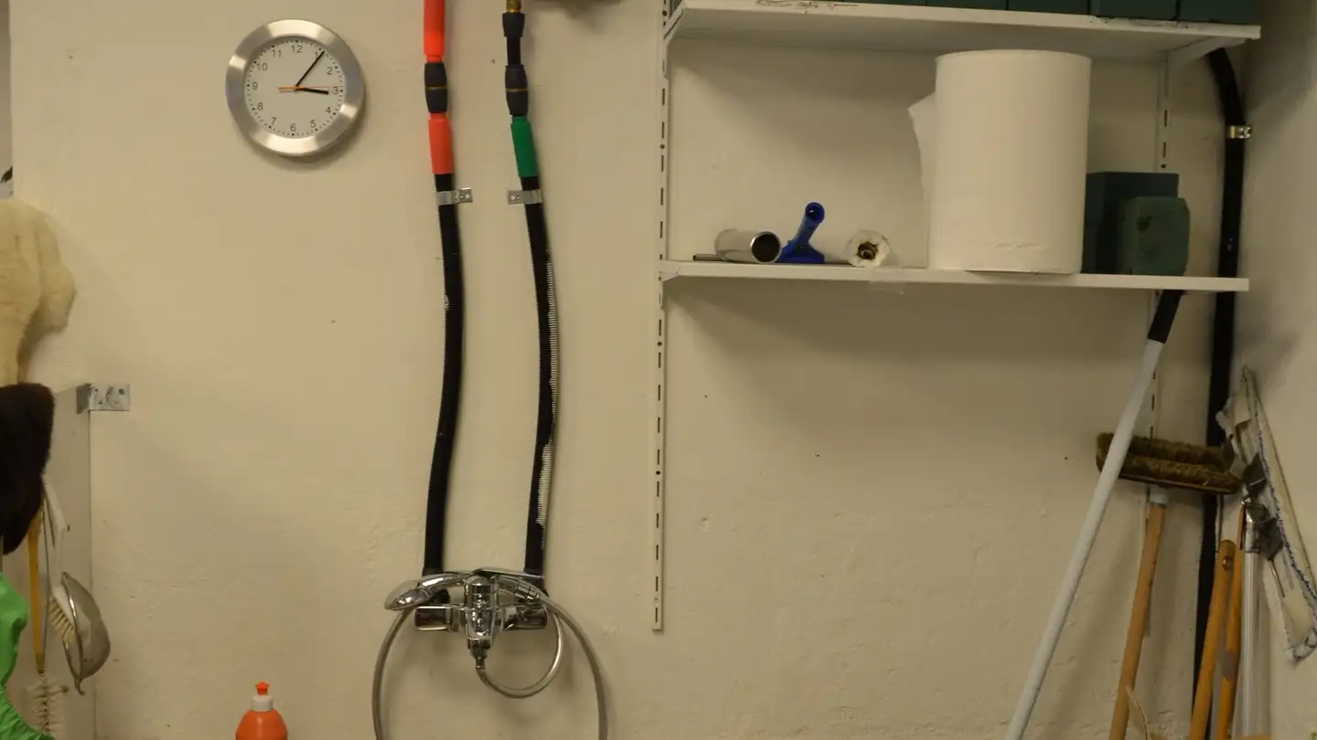 Commerciale in affitto - Schützengasse 1, 6460 Altdorf UR - Foto 4