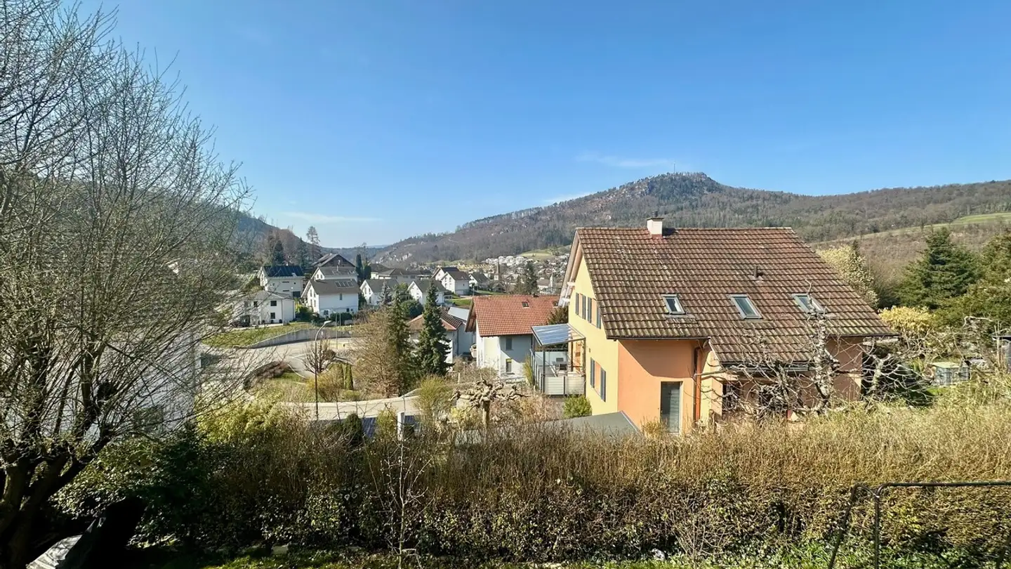 Casa singola in vendita - Neutalweg, 4203 Grellingen - Foto 3