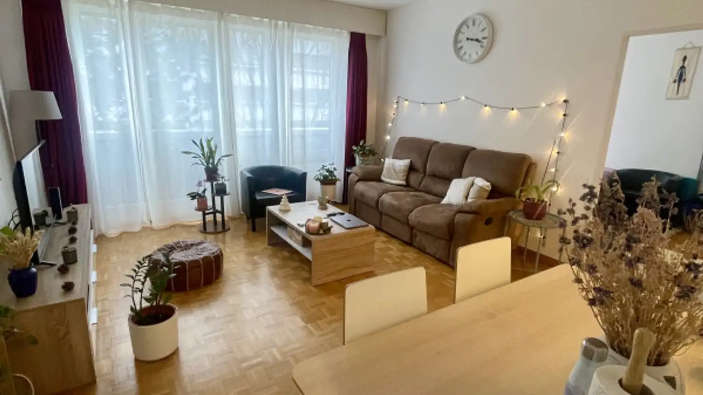 Appartamento in affitto - Chemin Des Crêts-De-Champel 20, 1206 Genève