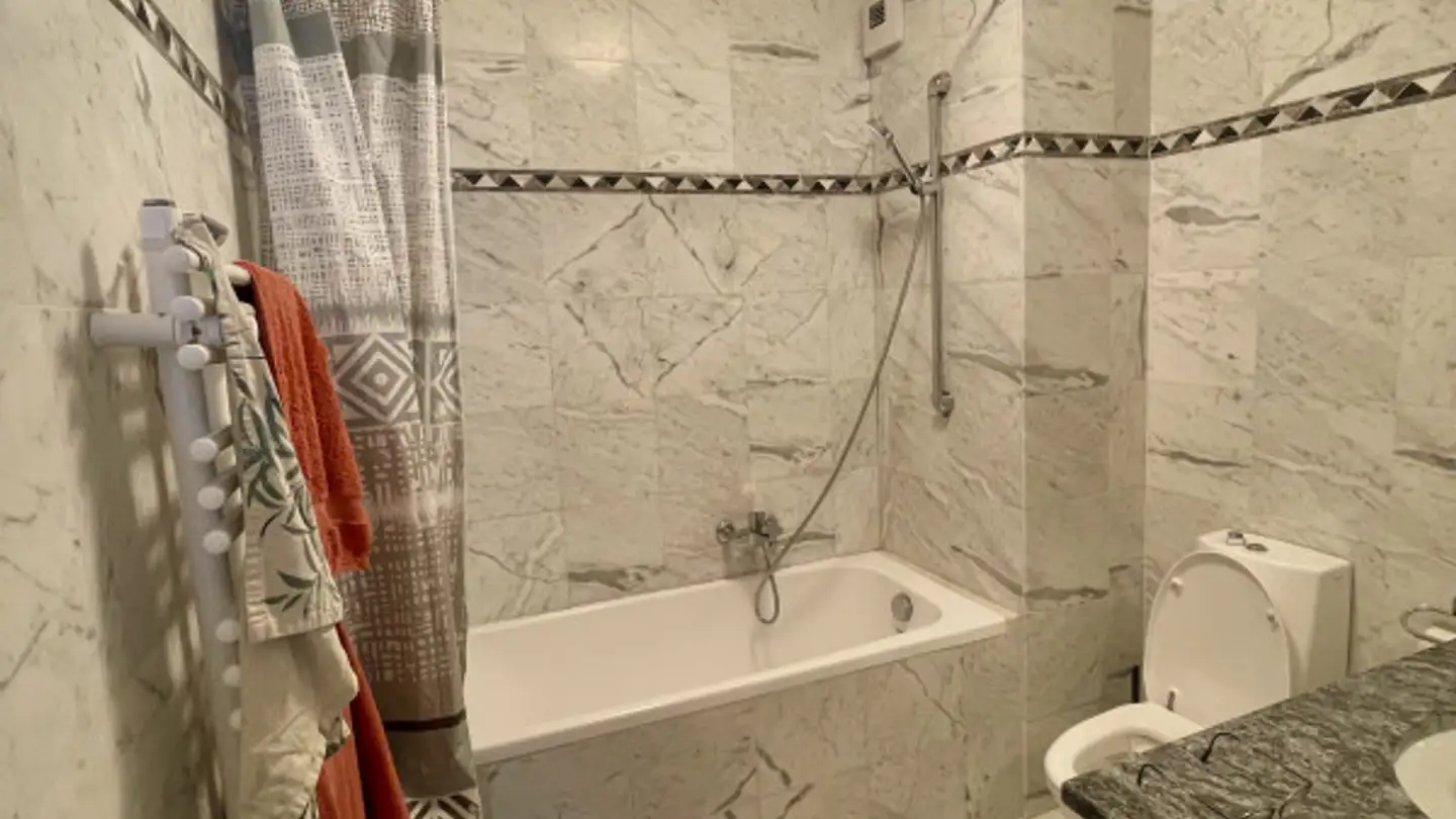 Appartamento in affitto - Chemin Des Crêts-De-Champel 20, 1206 Genève - Foto 4