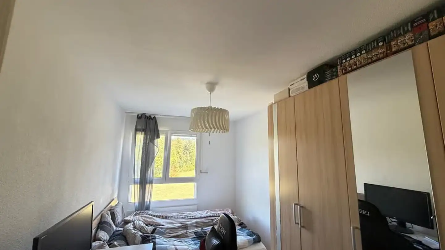 Appartamento in affitto - Chemin Des Bois 6, 1607 Palézieux-Village - Foto 4