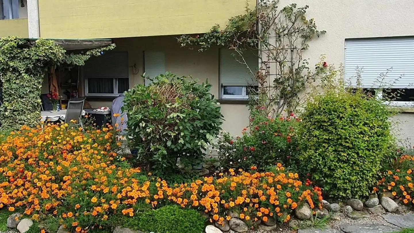 Wohnung mieten - Böllistrasse 14, 5702 Niederlenz