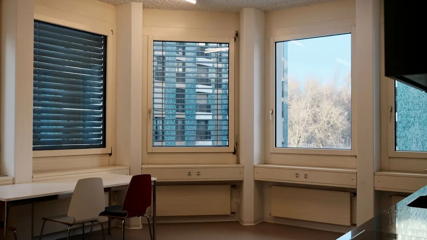 Bureau à louer - Spindelstrasse, 8041 Zürich - Photo 3