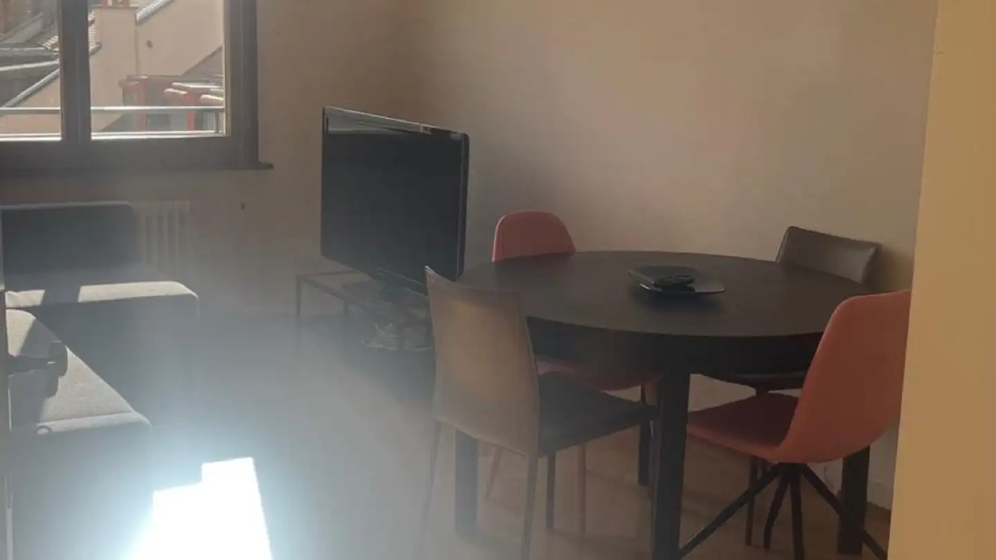 Appartement à louer - Avenue Dumas, 1206 Genève - Photo 2