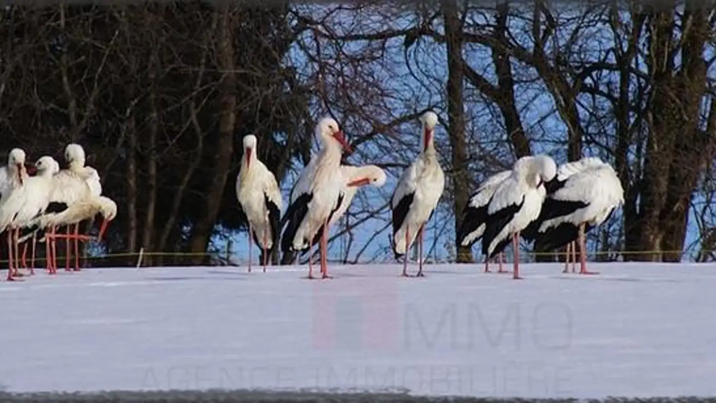 Casa singola in vendita - 2900 Porrentruy - Photo 2