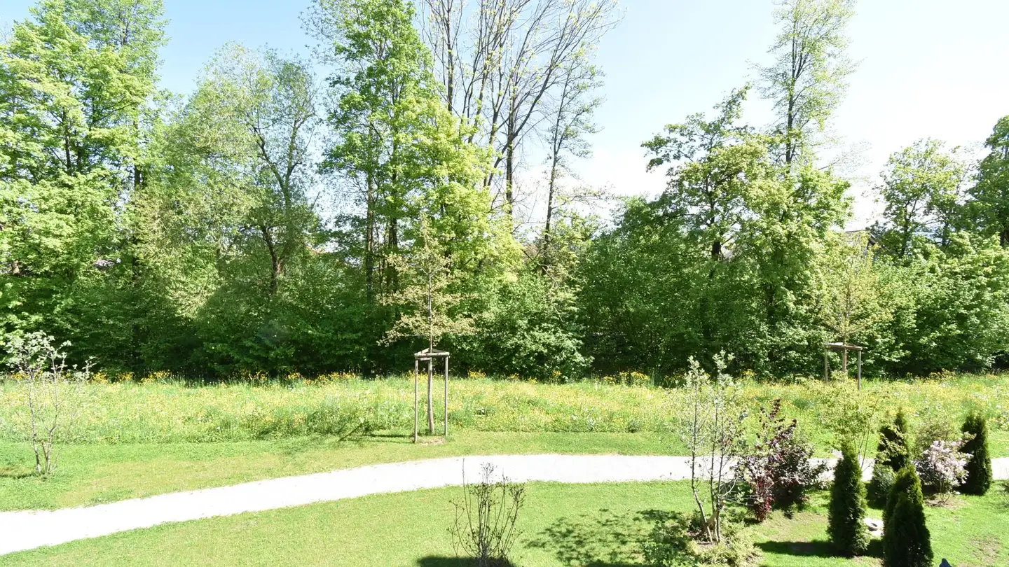 Appartement à louer - Seestrasse 111, 9326 Horn - Photo 2