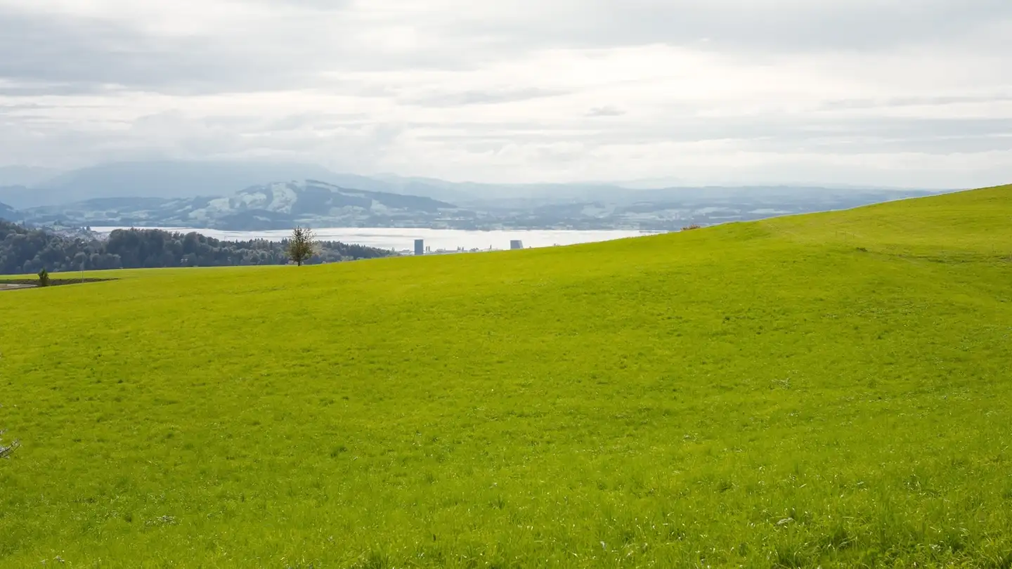 Edificio residenziale in vendita - Neuhofstrasse 2, 6345 Neuheim - Photo 4