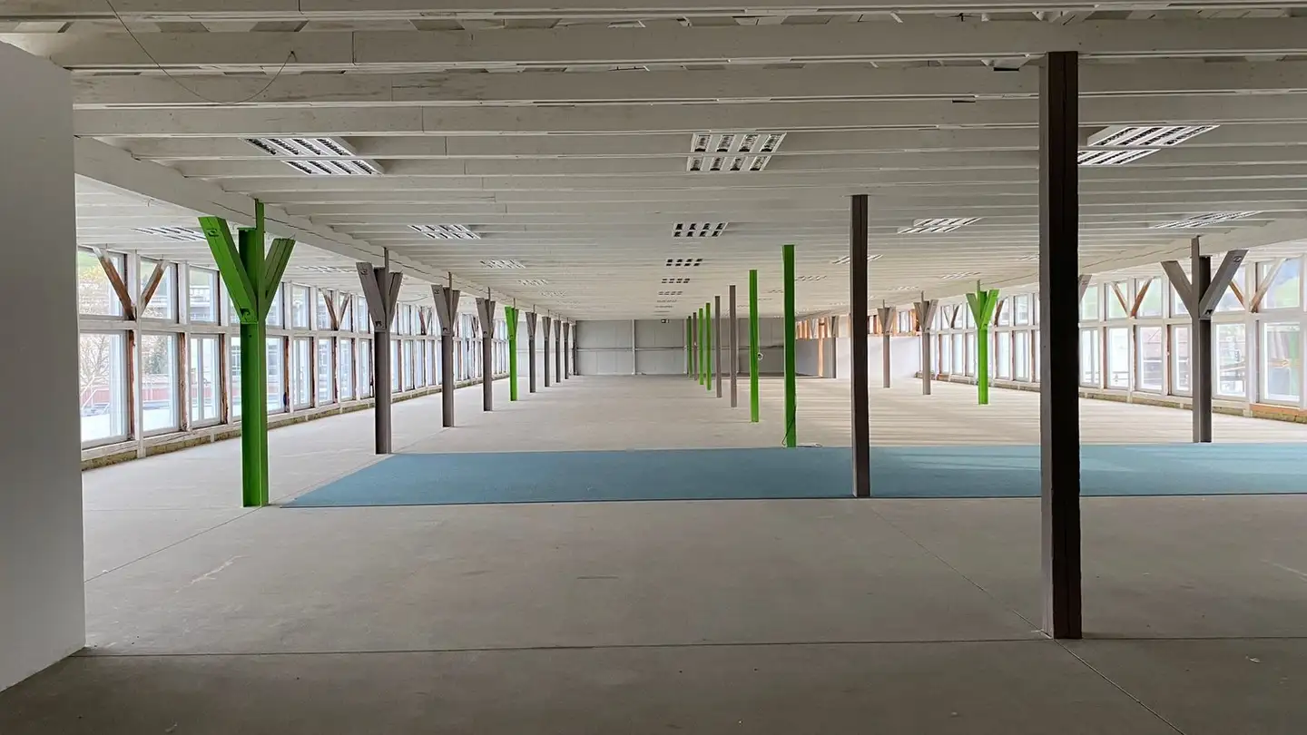 Laboratorio in affitto - Hauptstrasse 29, 4938 Rohrbach - Photo 3