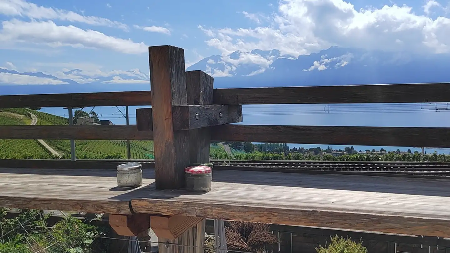 Single room for rent - Rue De La Gare 17, 1091 Grandvaux - Photo 3