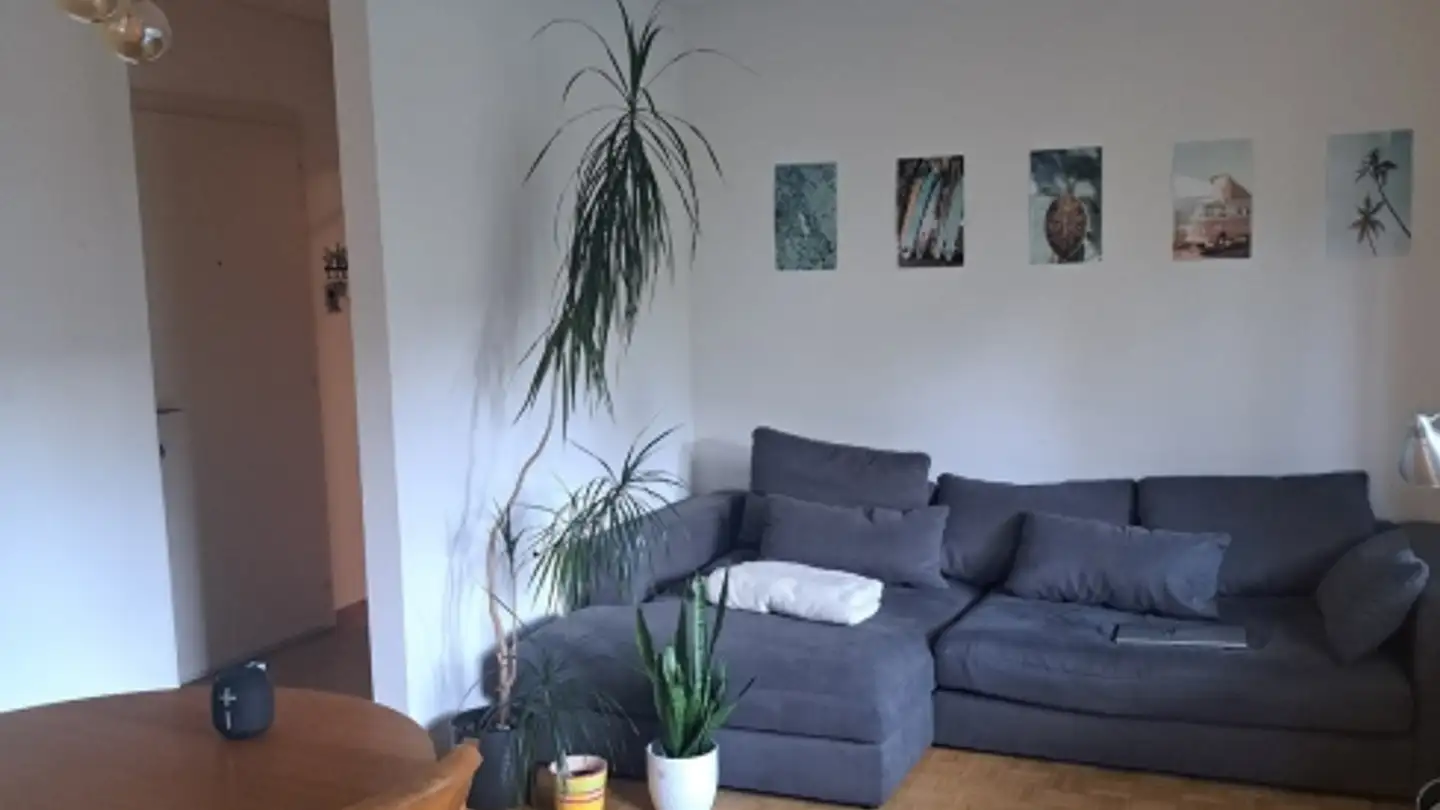 Appartement à louer - 3600 Thun