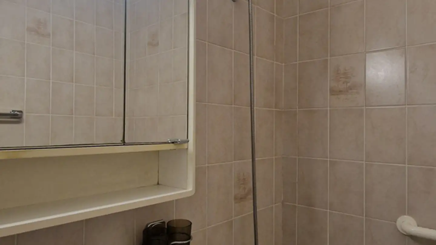 Appartement à louer - Rue Des Lattes 51, 1217 Meyrin - Photo 4