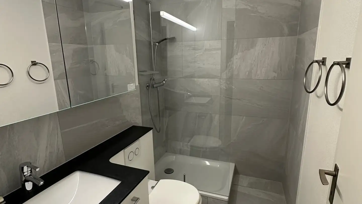 Appartamento in affitto - Baselmattweg 209, 4123 Allschwil - Foto 4