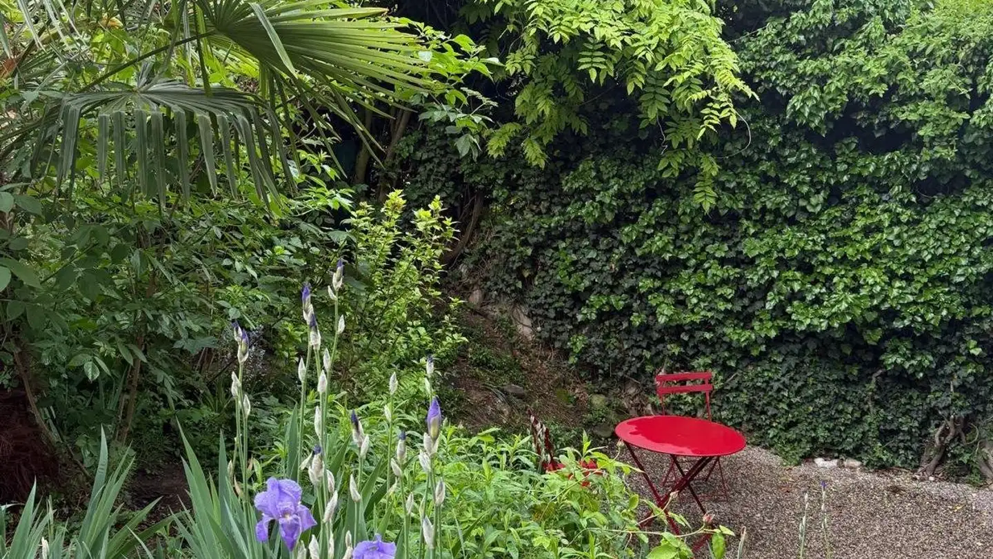 Studio for rent - 1225 Chêne-Bourg - Photo 2