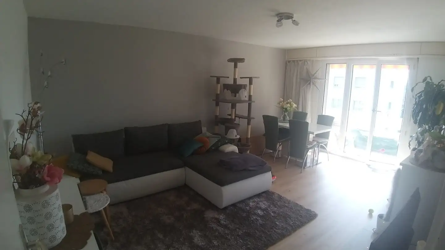 Single room for rent - 8155 Niederhasli - Photo 3