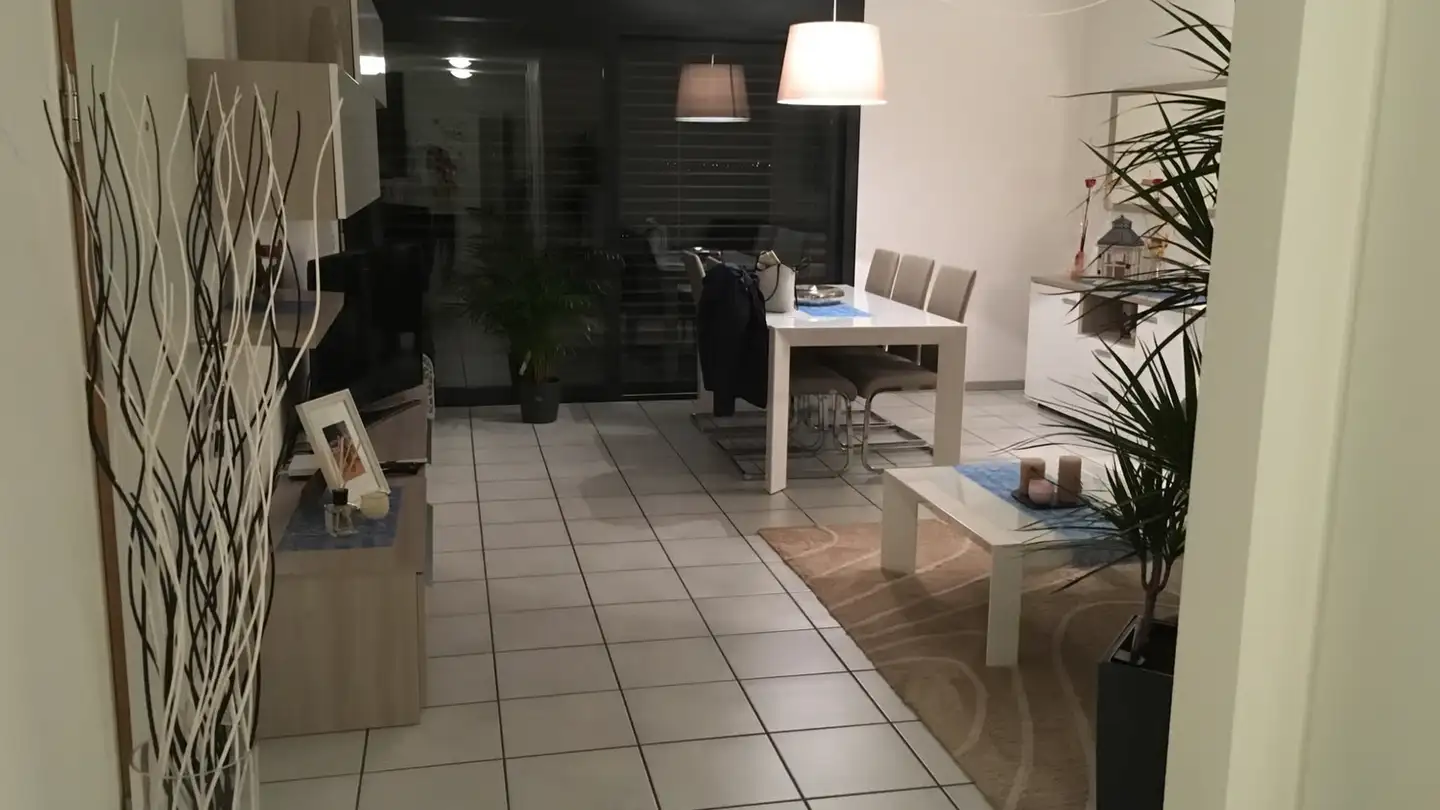 Wohnung mieten - 6527 Lodrino