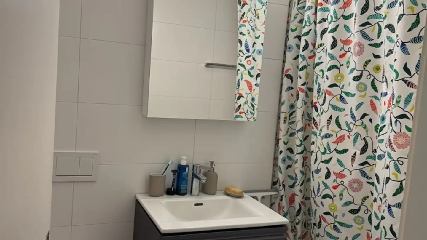Apartment for rent - In Der Fadmatt 63, 8902 Urdorf - Photo 4