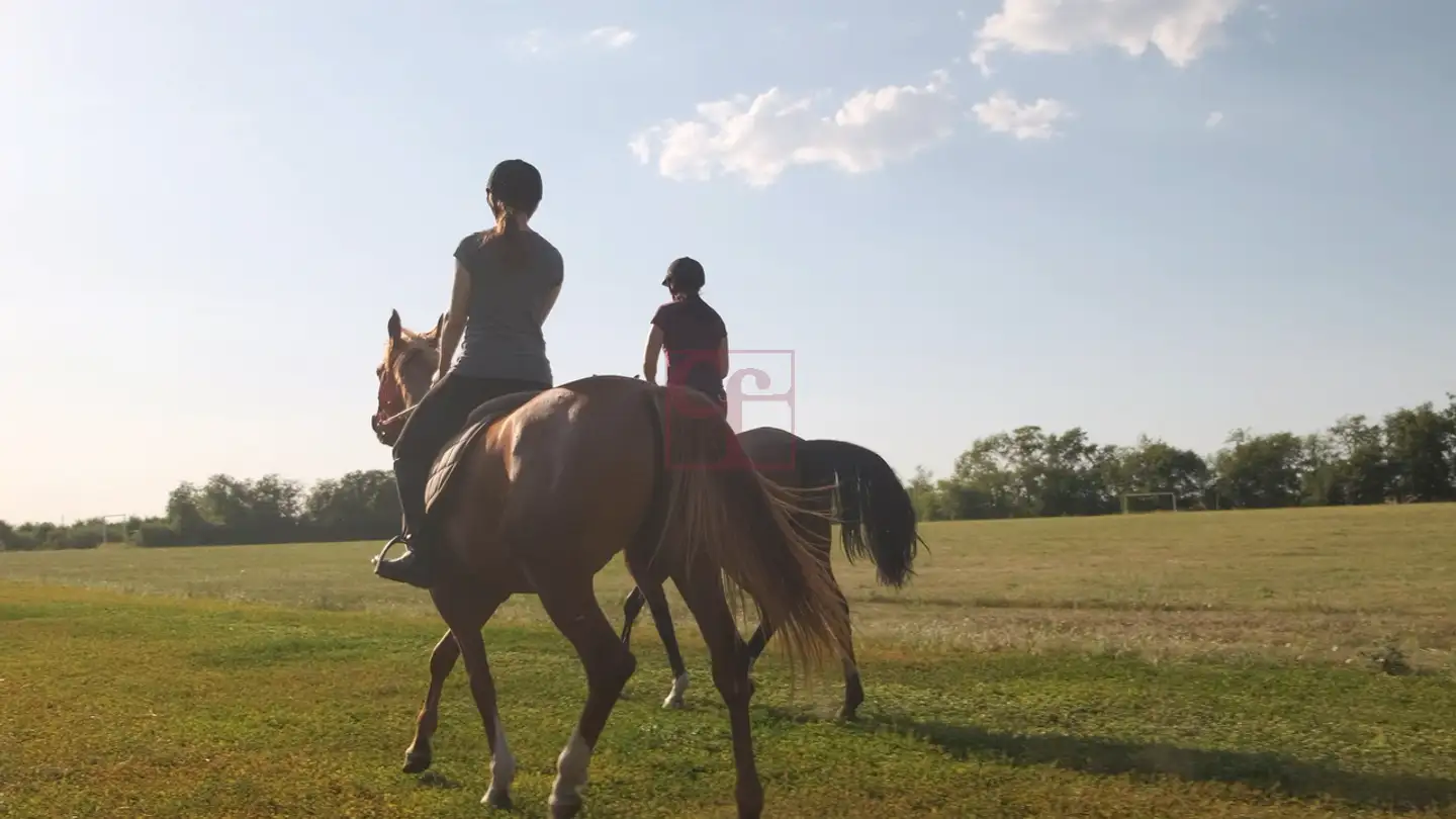 Terreno edificabile in vendita - 1633 Marsens - Photo 3