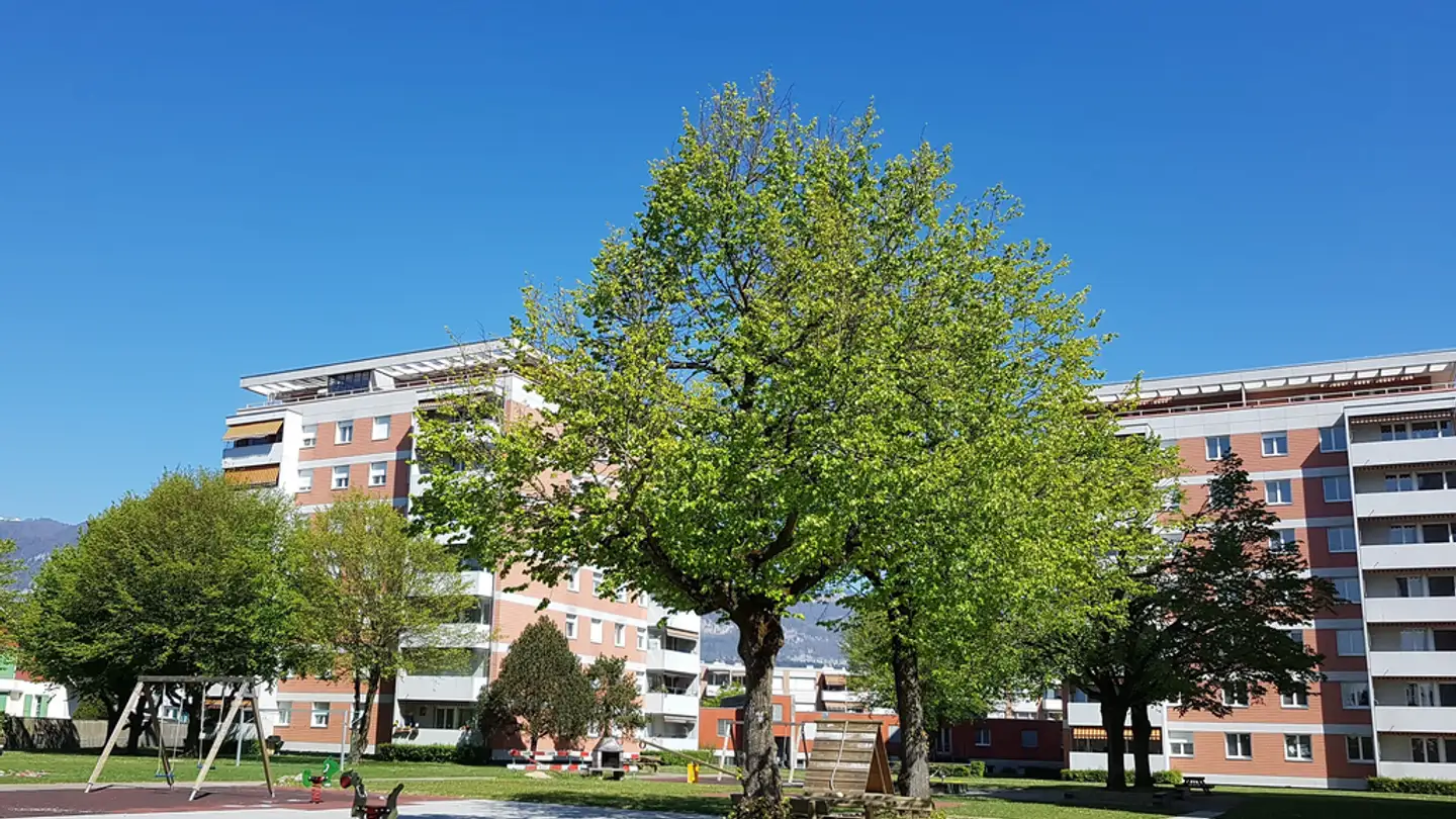 Appartamento in affitto - Amselweg 5, 4528 Zuchwil - Foto 4