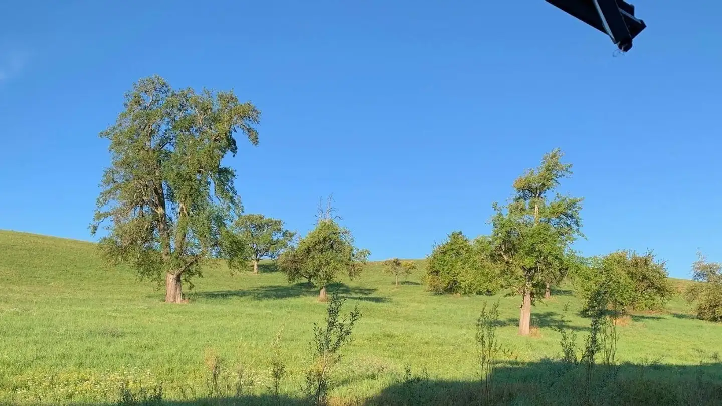 Appartamento in affitto - Zürcherstrasse 105, 8245 Feuerthalen - Foto 2