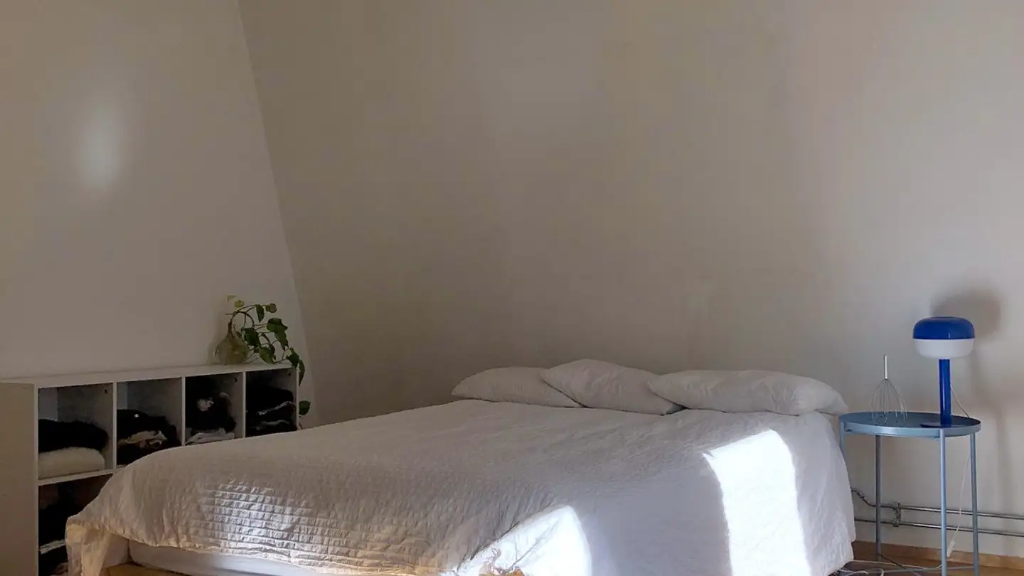 Single room for rent - Hotzestrasse, 8006 Zürich