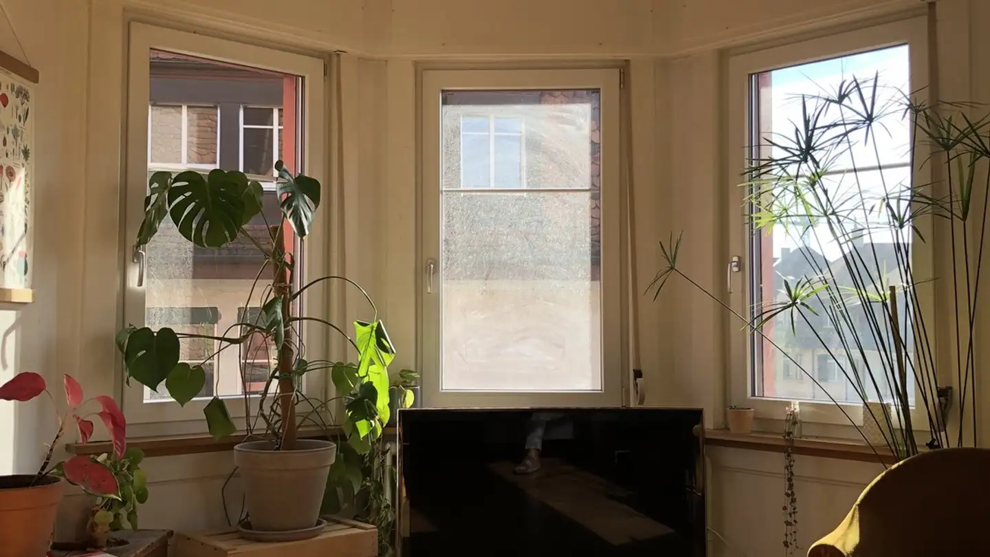 Stanza singola in affitto - Hotzestrasse, 8006 Zürich - Photo 4