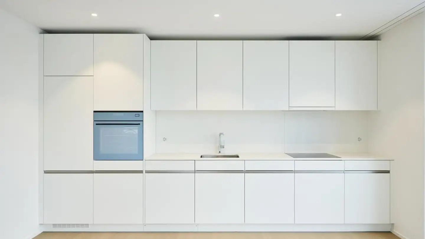 Penthouse for rent - Katzenbachstrasse 239, 8052 Zürich - Photo 3