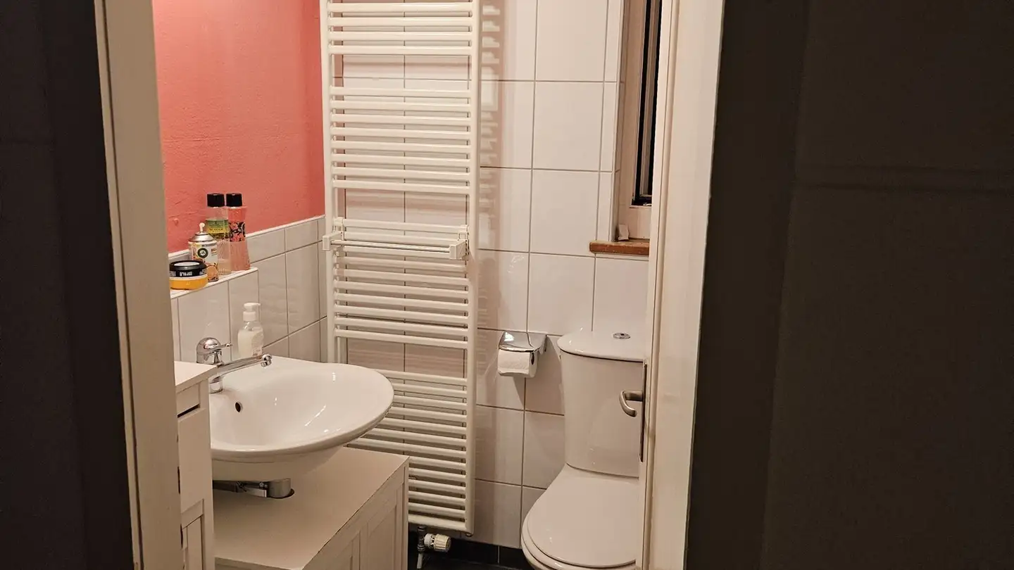 Chambre à louer - 8050 Zürich - Photo 4