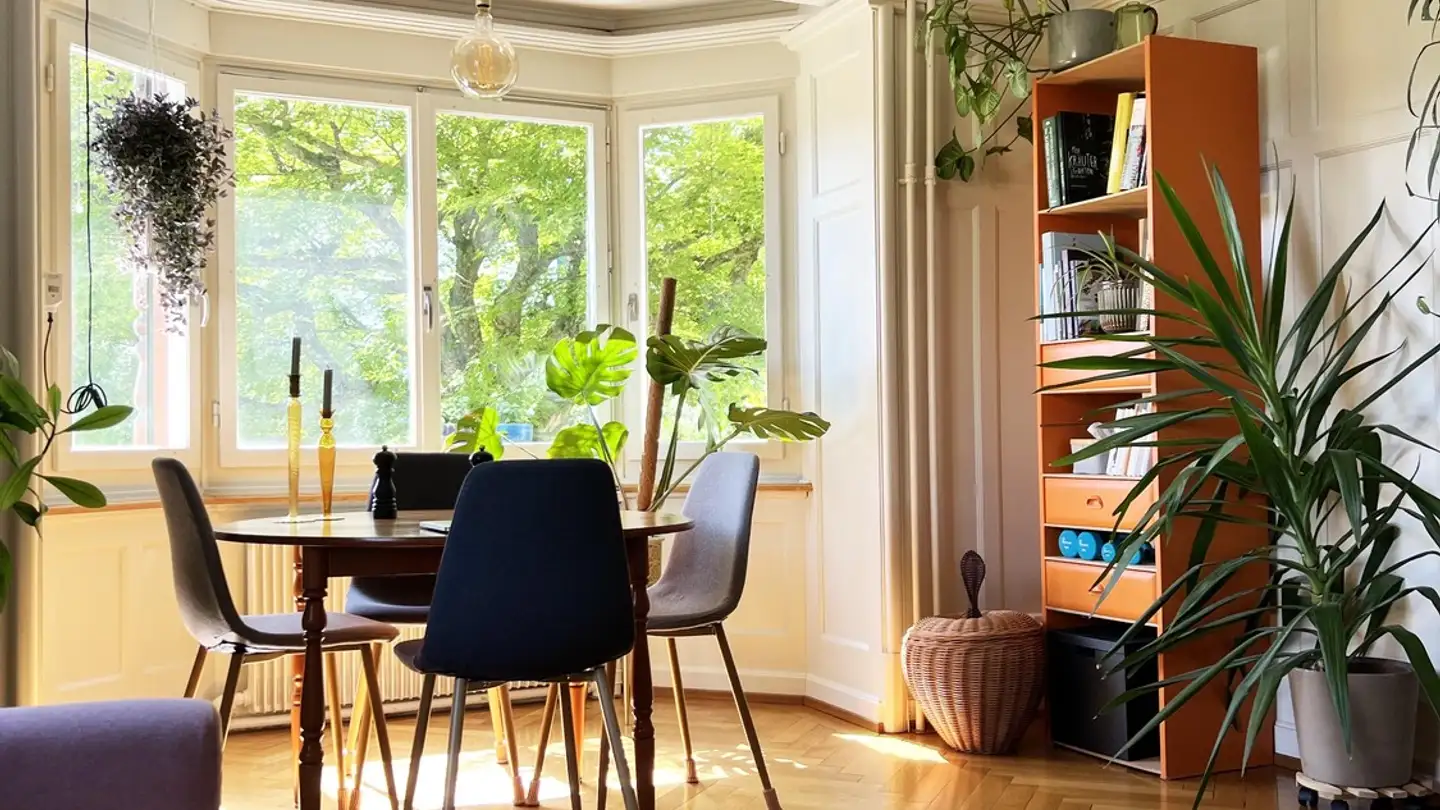 Apartment for rent - 8820 Wädenswil
