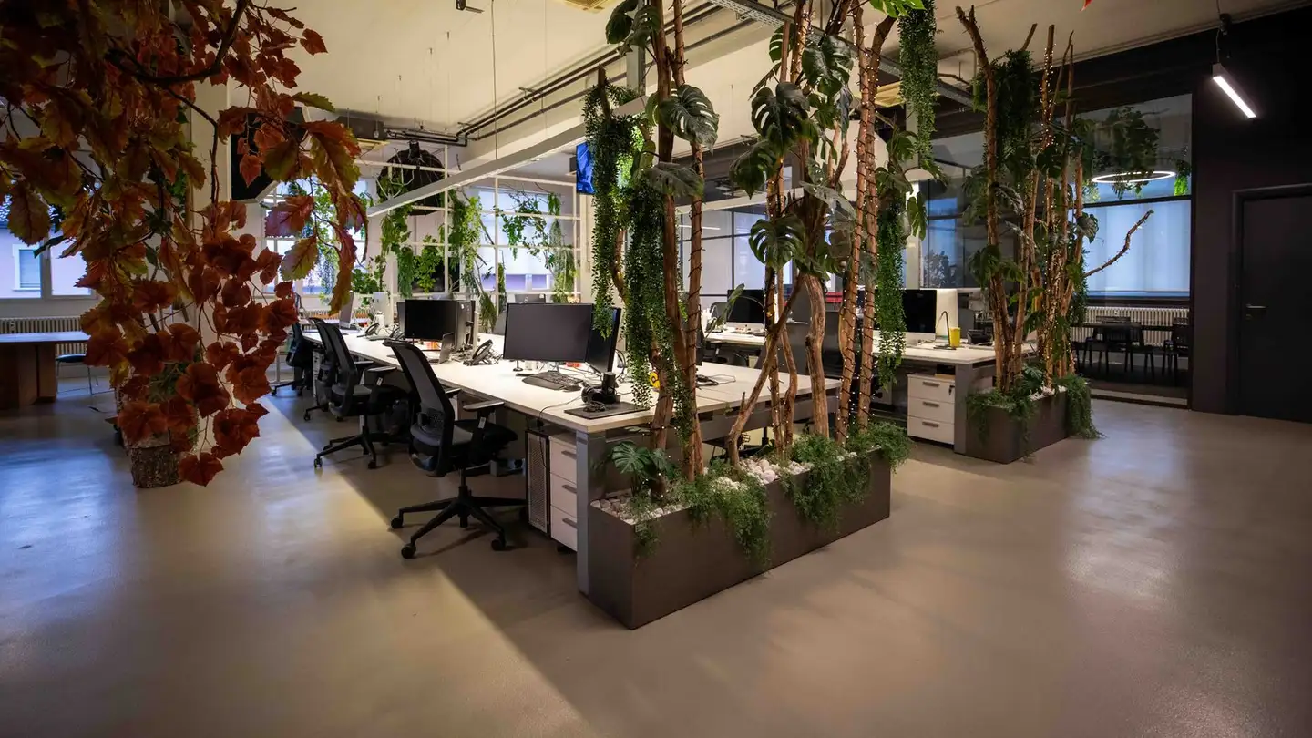 Bureau à louer - Via Giuseppe Corti 5, 6828 Balerna - Photo 2