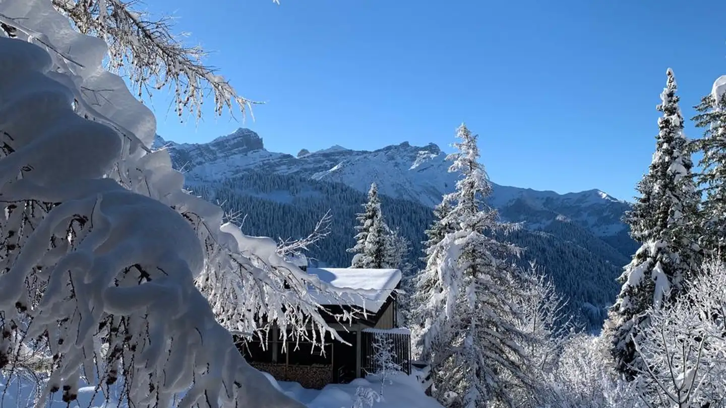 Casa singola in vendita - 1882 Gryon - Foto 2