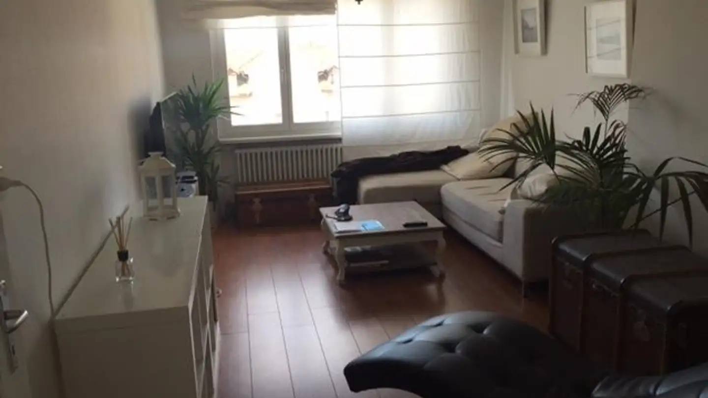 Appartement à louer - Buechenstrasse 4, 9422 Staad SG