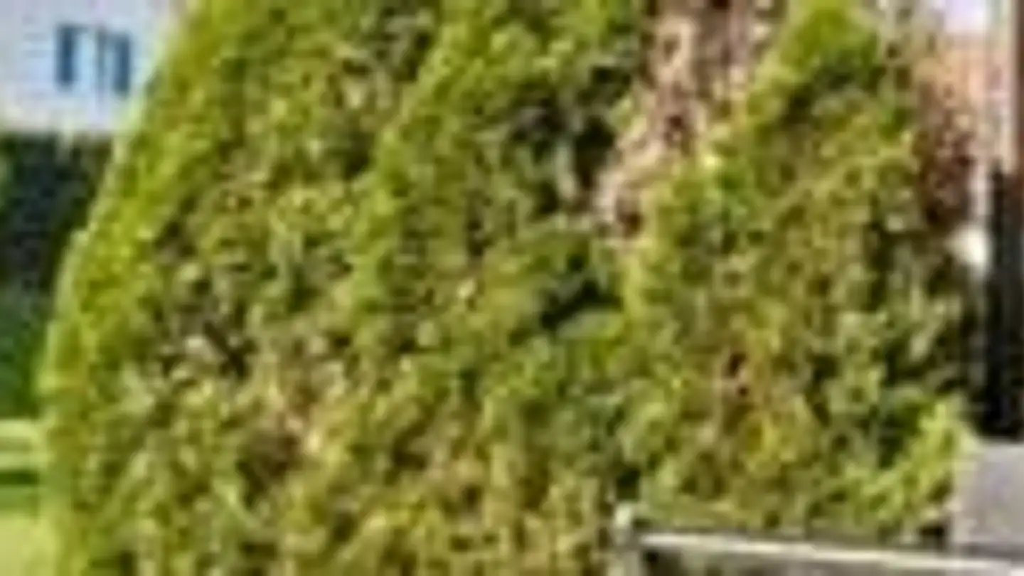 Appartement à louer - Friedhofweg 7, 5426 Lengnau AG - Photo 3