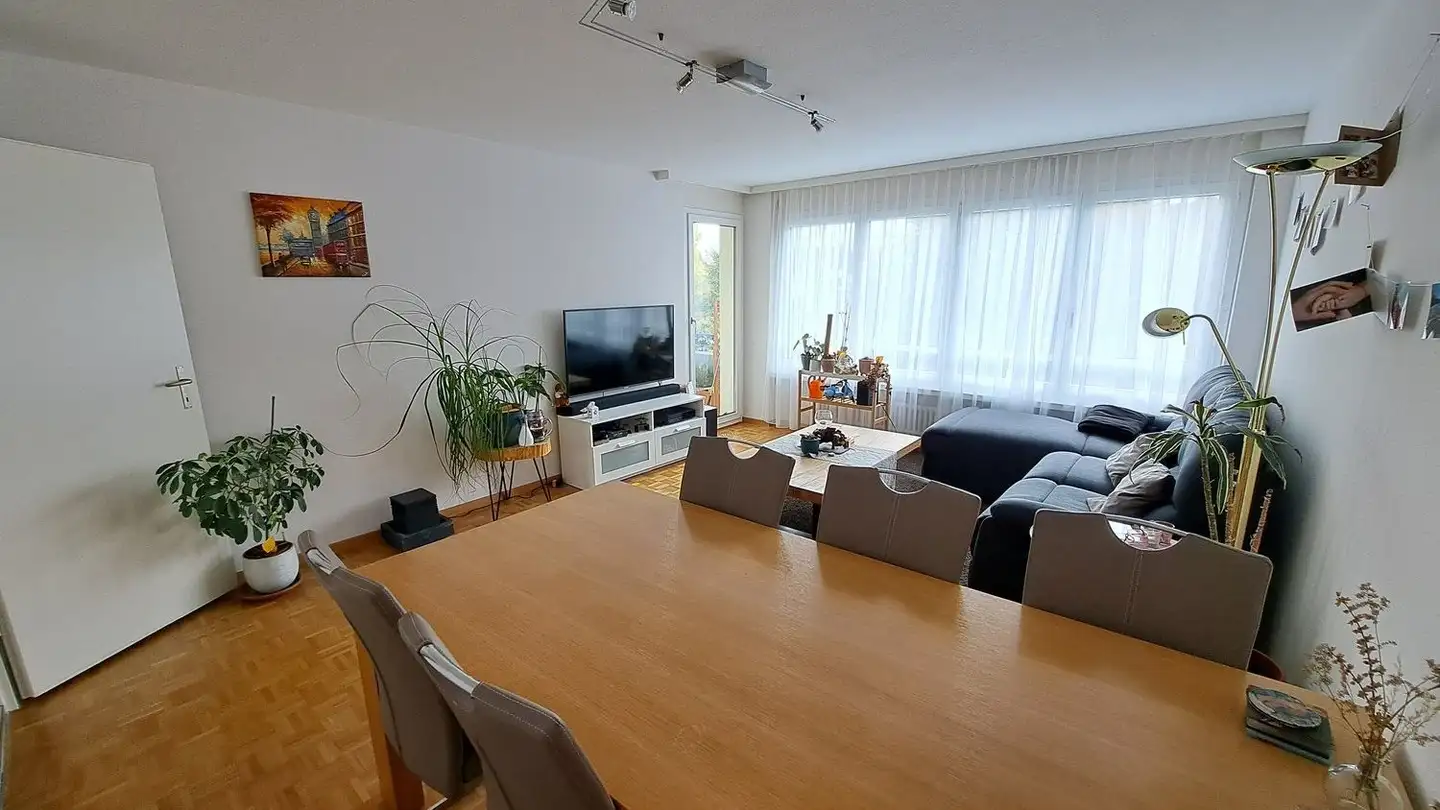 Furnished apartment for rent - Rietstrasse, 8200 Schaffhausen