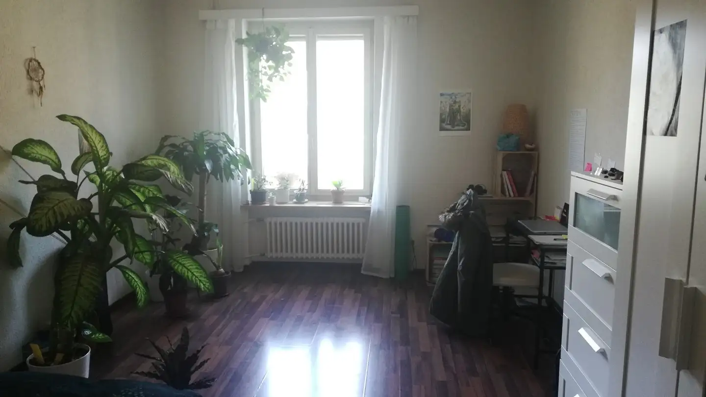 Chambre à louer - 8003 Zürich