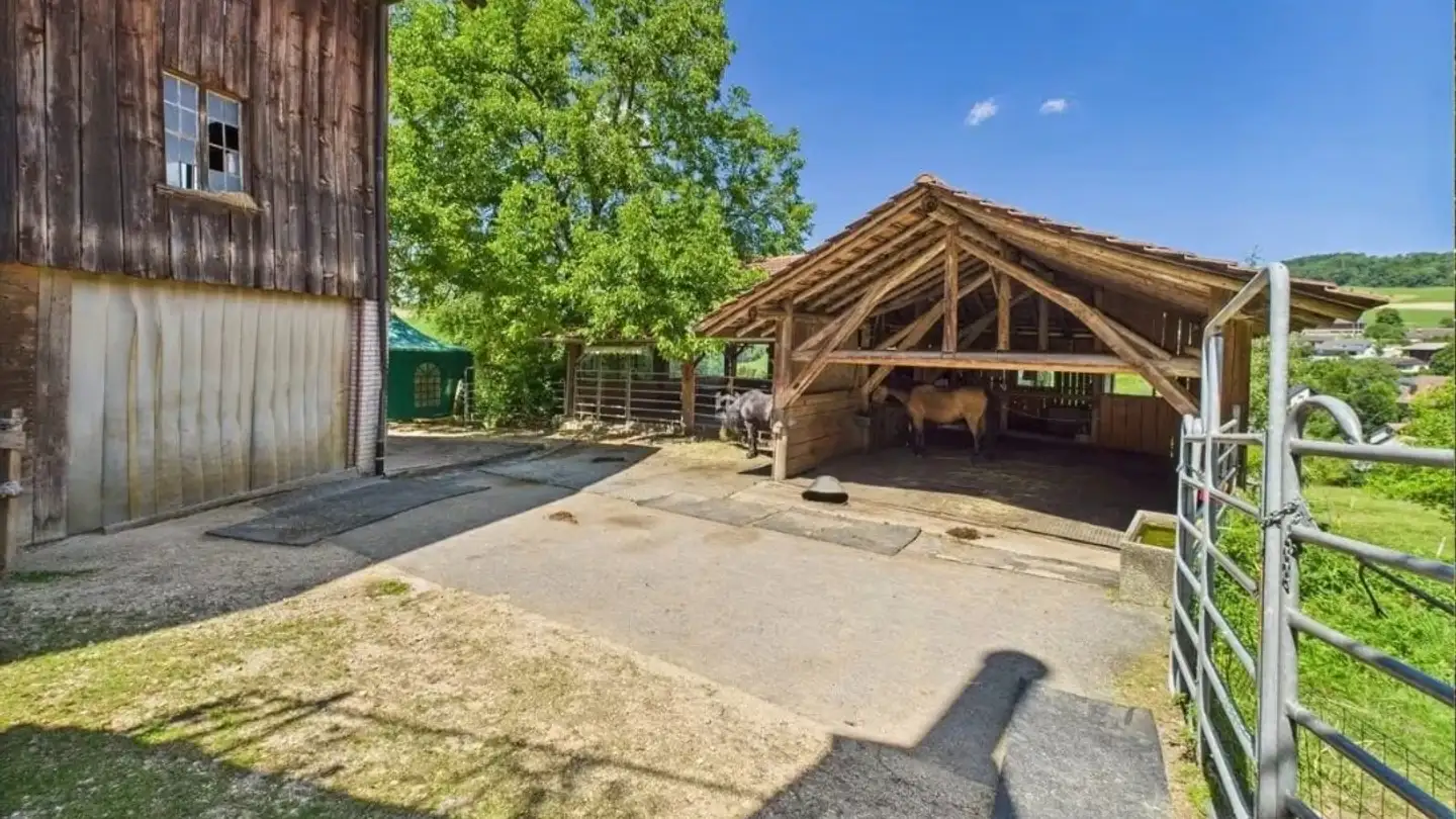 Appartamento in vendita - Anwilerstrasse 56, 4468 Kienberg - Photo 2